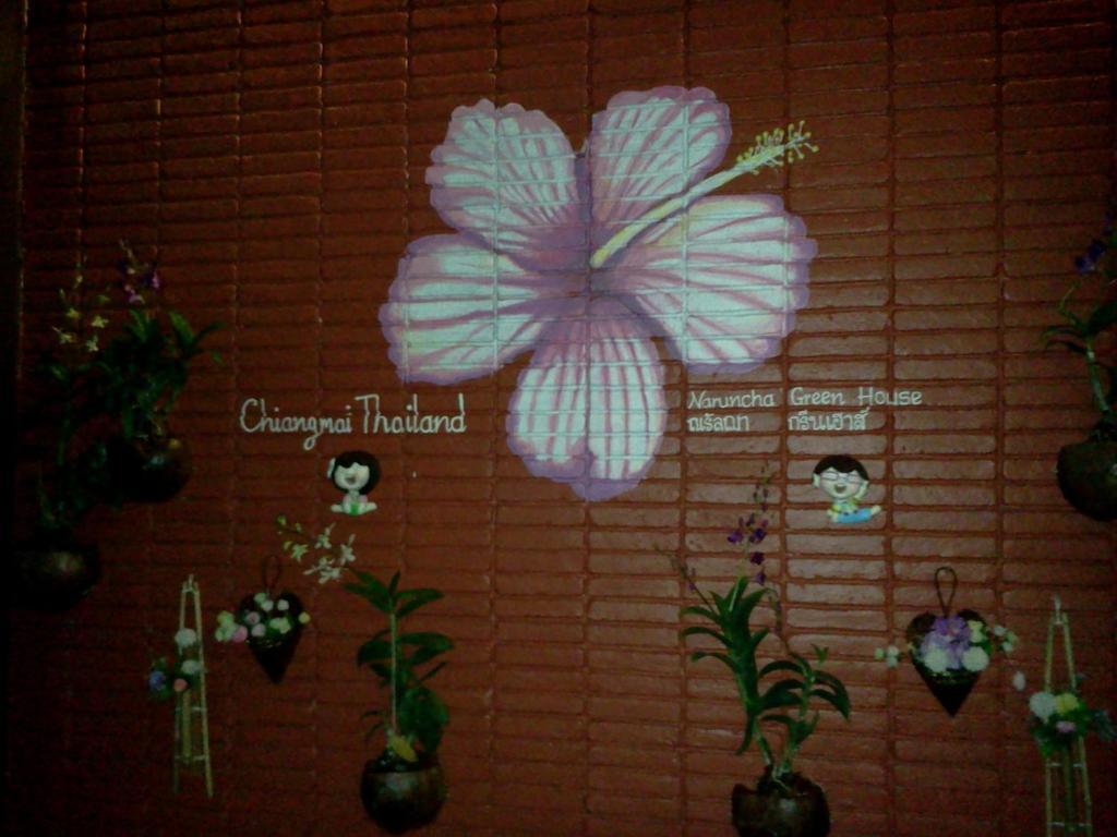 Naruncha Green House Chiang Mai Eksteriør bilde