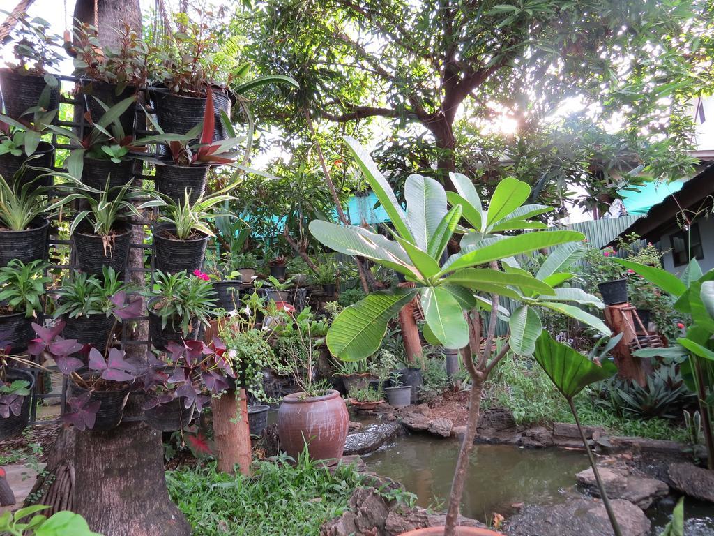 Naruncha Green House Chiang Mai Eksteriør bilde